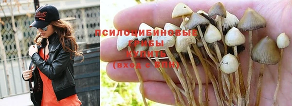 MESCALINE Верея